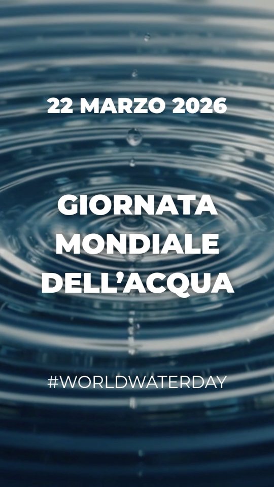 La nostra Missione per un futuro più sostenibile! 

Scopri il nostro progetto.
➡️ www.acquapiubuona.it
.
#giornatamondialedellacqua #acquapiubuona #cleanwater #depuratoreacquaaltamura